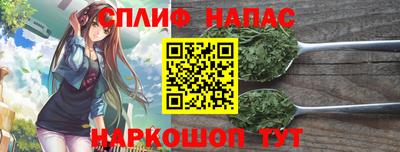 крисы Малгобек
