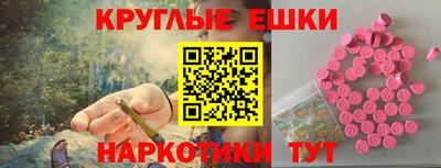 крисы Малгобек