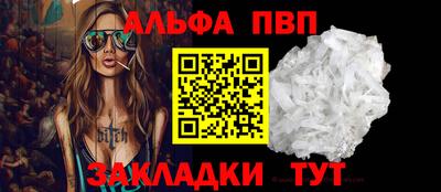крисы Малгобек