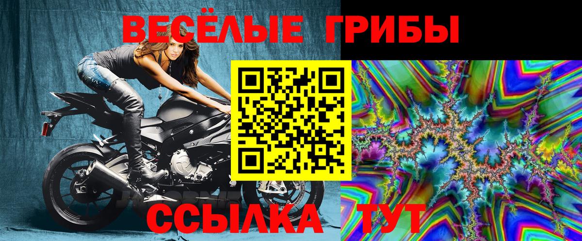 Псилоцибиновые грибы прущие грибы Юрга
