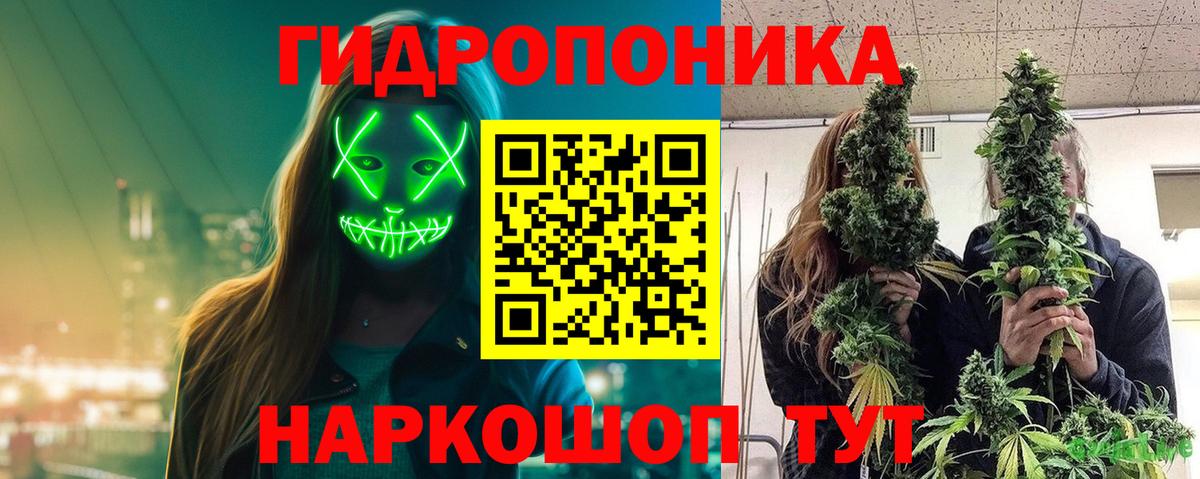 Конопля индика Юрга